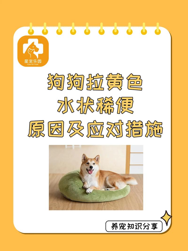 狗狗拉黄屎是怎么回事,狗狗拉黄色屎正常吗-第3张图片-后鲨宠物 狗狗拉黄屎是怎么回事,狗狗拉黄色屎正常吗-第3张图片-后鲨宠物