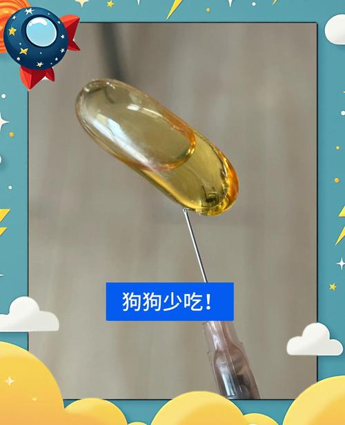 狗狗吃油腻了的症状_狗吃油腻的东西会怎样-第3张图片-后鲨宠物 狗狗吃油腻了的症状_狗吃油腻的东西会怎样-第3张图片-后鲨宠物