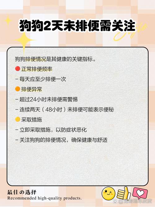 狗狗2天不大便怎么办,狗狗两天不拉粑粑正常吗?-第2张图片-后鲨宠物 狗狗2天不大便怎么办,狗狗两天不拉粑粑正常吗?-第2张图片-后鲨宠物