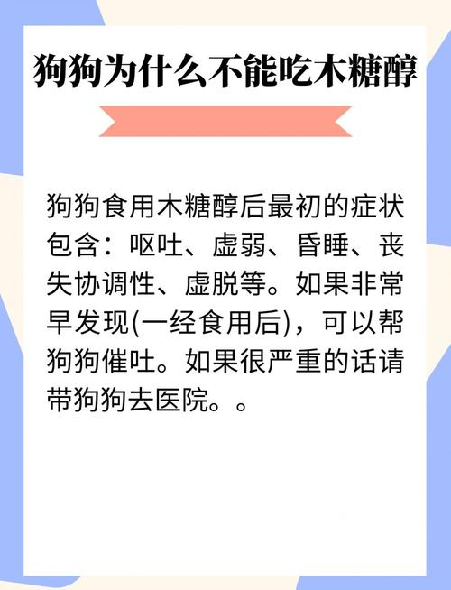 狗狗能吃木糖醇吗,小狗可以吃木糖醇吗-第2张图片-后鲨宠物 狗狗能吃木糖醇吗,小狗可以吃木糖醇吗-第2张图片-后鲨宠物