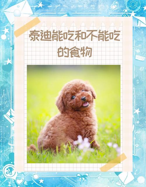 狗狗能吃锅巴吗,狗狗能吃锅巴吗?-第3张图片-后鲨宠物 狗狗能吃锅巴吗,狗狗能吃锅巴吗?-第3张图片-后鲨宠物