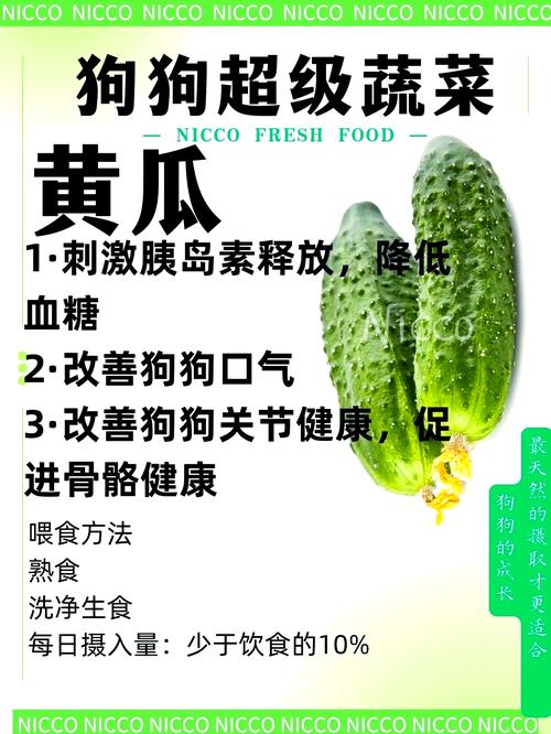 狗狗能吃生黄瓜吗,狗狗能吃生黄瓜吗有毒吗-第4张图片-后鲨宠物 狗狗能吃生黄瓜吗,狗狗能吃生黄瓜吗有毒吗-第4张图片-后鲨宠物