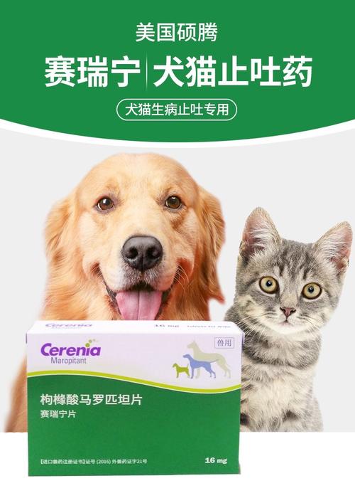 狗狗可以吃晕车药吗，狗狗晕车能吃人吃的晕车药吗？-第5张图片-后鲨宠物