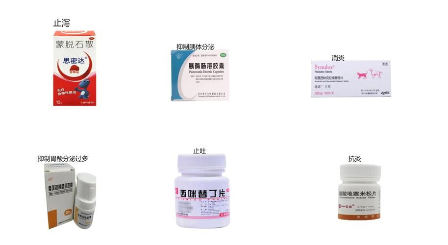 狗狗产后消炎方法,母狗产后消炎用什么药好?-第1张图片-后鲨宠物 狗狗产后消炎方法,母狗产后消炎用什么药好?-第1张图片-后鲨宠物