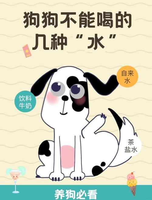 狗狗能吃豆腐脑吗,狗能吃豆腐脑嘛-第1张图片-后鲨宠物 狗狗能吃豆腐脑吗,狗能吃豆腐脑嘛-第1张图片-后鲨宠物