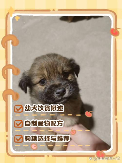 狗狗能吃抹茶吗_狗狗能吃抹茶吗有毒吗-第5张图片-后鲨宠物 狗狗能吃抹茶吗_狗狗能吃抹茶吗有毒吗-第5张图片-后鲨宠物