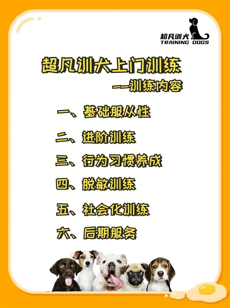 哪里可以训练狗狗_哪有训狗的-第3张图片-后鲨宠物