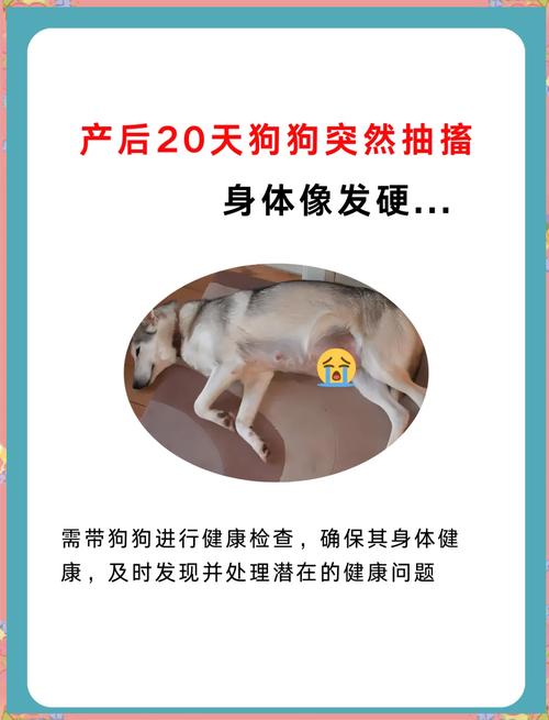 狗狗肚子抽搐怎么回事,狗狗肚子抽搐怎么回事该怎么办?-第2张图片-后鲨宠物 狗狗肚子抽搐怎么回事,狗狗肚子抽搐怎么回事该怎么办?-第2张图片-后鲨宠物