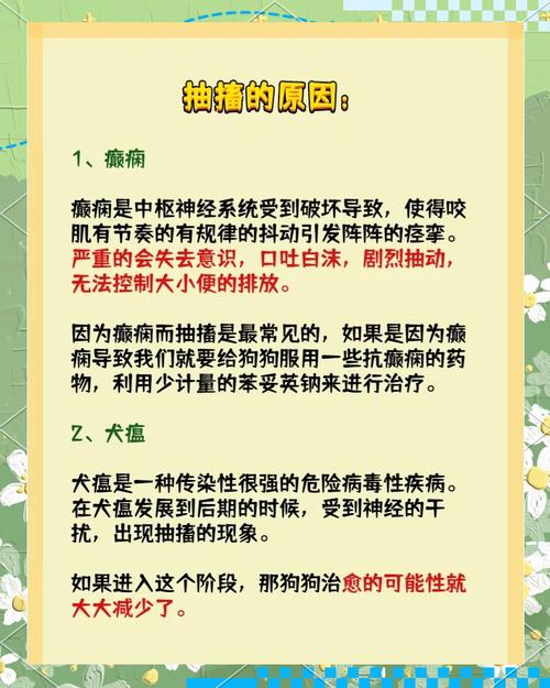 狗狗肚子抽搐怎么回事,狗狗肚子抽搐怎么回事该怎么办?-第4张图片-后鲨宠物 狗狗肚子抽搐怎么回事,狗狗肚子抽搐怎么回事该怎么办?-第4张图片-后鲨宠物