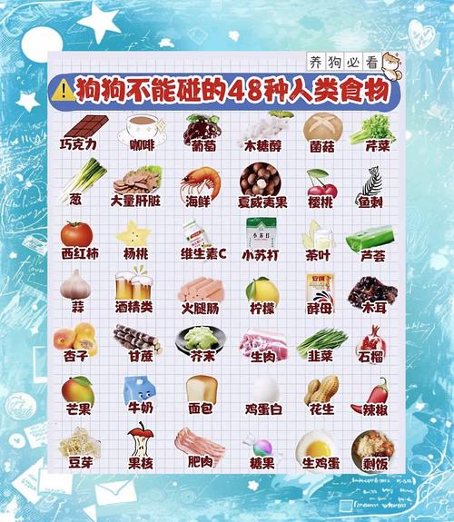 狗狗能吃蒜头吗,狗狗能不能吃大蒜头-第1张图片-后鲨宠物 狗狗能吃蒜头吗,狗狗能不能吃大蒜头-第1张图片-后鲨宠物