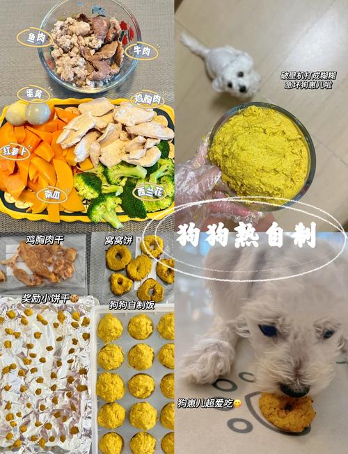 狗狗零食制作方法,狗狗零食如何制作?-第5张图片-后鲨宠物 狗狗零食制作方法,狗狗零食如何制作?-第5张图片-后鲨宠物