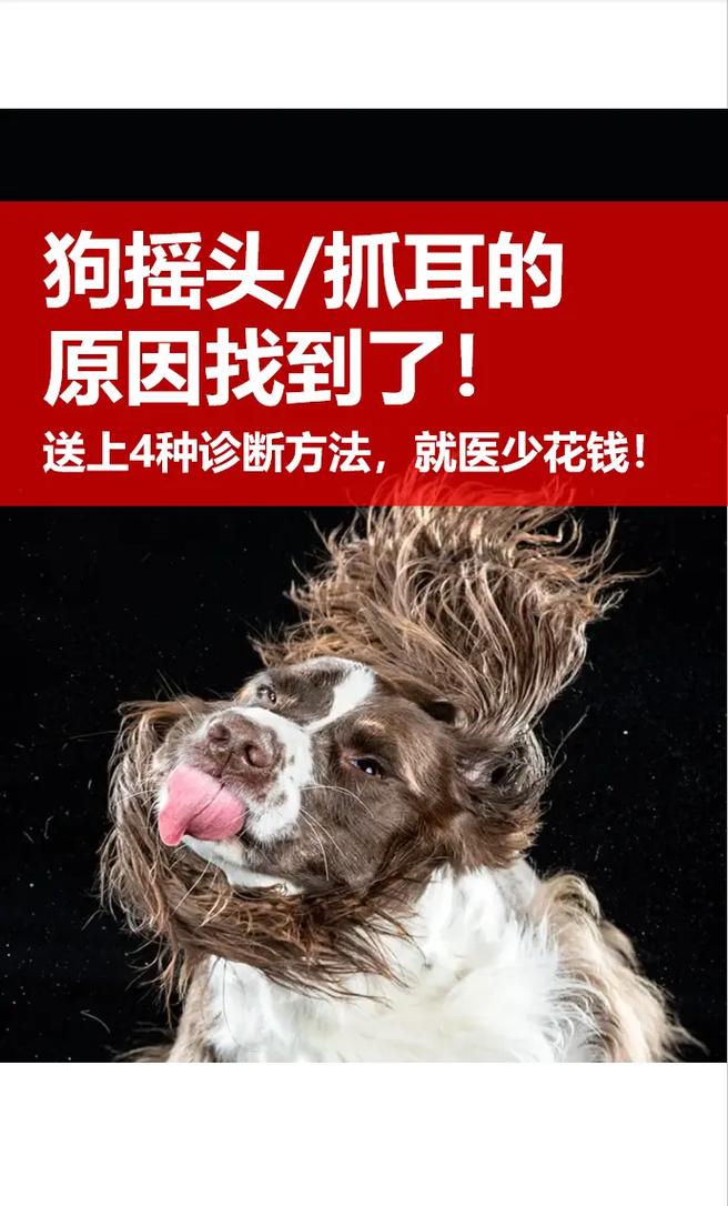  狗狗耳朵痒用什么药比较好，狗耳朵痒买什么药