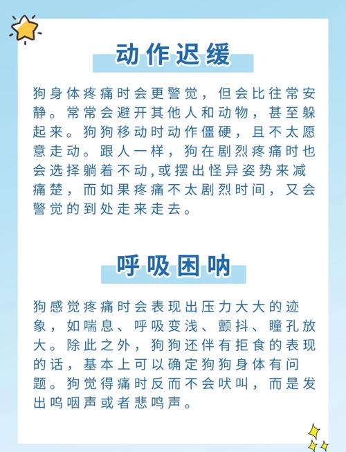 狗狗不舒服的表现有哪些,狗狗不舒服有什么表现?-第3张图片-后鲨宠物 狗狗不舒服的表现有哪些,狗狗不舒服有什么表现?-第3张图片-后鲨宠物