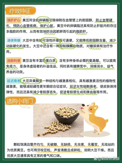 狗狗可以吃大豆吗,狗狗能吃大豆腐么-第5张图片-后鲨宠物 狗狗可以吃大豆吗,狗狗能吃大豆腐么-第5张图片-后鲨宠物