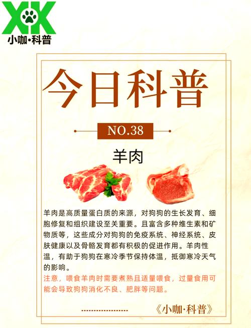 狗狗吃羊肉会上火吗,狗狗吃羊肉会拉稀吗?-第3张图片-后鲨宠物 狗狗吃羊肉会上火吗,狗狗吃羊肉会拉稀吗?-第3张图片-后鲨宠物