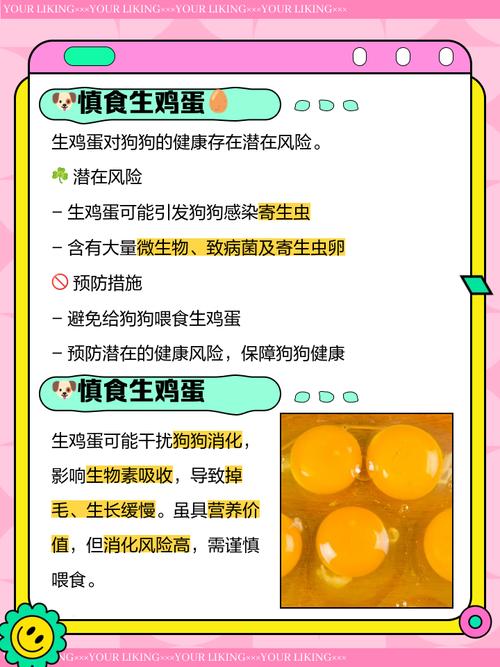狗狗可以喝生鸡蛋吗，狗狗可以喝生鸡蛋吗有营养吗？-第2张图片-后鲨宠物