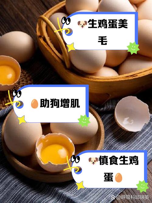 狗狗可以喝生鸡蛋吗，狗狗可以喝生鸡蛋吗有营养吗？-第4张图片-后鲨宠物