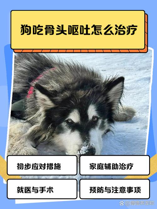 狗狗吃骨头吐了怎么办_狗狗吃骨头就吐骨头什么原因-第5张图片-后鲨宠物 狗狗吃骨头吐了怎么办_狗狗吃骨头就吐骨头什么原因-第5张图片-后鲨宠物