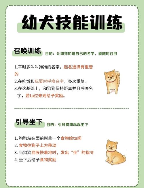 几个月的狗狗开始训练,几个月的狗狗可以开始训练?-第1张图片-后鲨宠物 几个月的狗狗开始训练,几个月的狗狗可以开始训练?-第1张图片-后鲨宠物