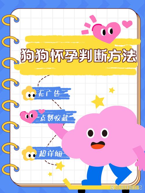 怎么看出来狗狗怀孕,怎么看狗狗怀孕没-第6张图片-后鲨宠物 怎么看出来狗狗怀孕,怎么看狗狗怀孕没-第6张图片-后鲨宠物