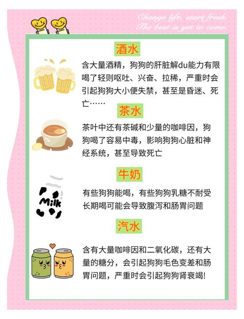 狗狗能喝绿茶吗,狗能不能喝绿茶-第1张图片-后鲨宠物 狗狗能喝绿茶吗,狗能不能喝绿茶-第1张图片-后鲨宠物