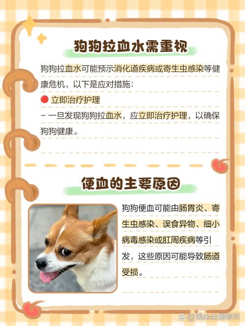 狗狗拉血水是怎么回事,狗狗拉出血水-第2张图片-后鲨宠物 狗狗拉血水是怎么回事,狗狗拉出血水-第2张图片-后鲨宠物