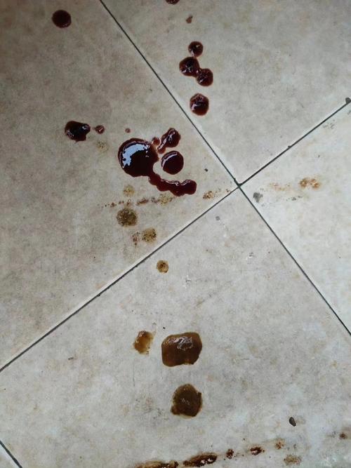 狗狗拉血水是怎么回事,狗狗拉出血水-第6张图片-后鲨宠物 狗狗拉血水是怎么回事,狗狗拉出血水-第6张图片-后鲨宠物