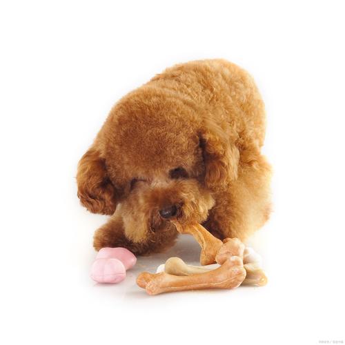 狗狗能吃梨子吗,狗狗能吃梨不?-第4张图片-后鲨宠物 狗狗能吃梨子吗,狗狗能吃梨不?-第4张图片-后鲨宠物