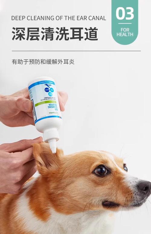 狗狗耳炎的症状有哪些_狗狗耳炎怎么治-第1张图片-后鲨宠物 狗狗耳炎的症状有哪些_狗狗耳炎怎么治-第1张图片-后鲨宠物