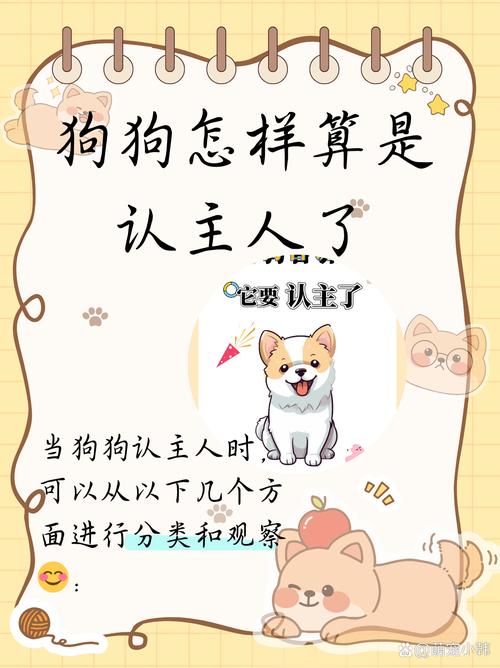 狗狗丢了会认新主人吗,狗走失了会一直找家吗?-第4张图片-后鲨宠物 狗狗丢了会认新主人吗,狗走失了会一直找家吗?-第4张图片-后鲨宠物