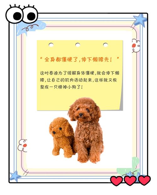 狗狗伸懒腰是什么意思,狗狗伸懒腰正常吗?-第3张图片-后鲨宠物 狗狗伸懒腰是什么意思,狗狗伸懒腰正常吗?-第3张图片-后鲨宠物