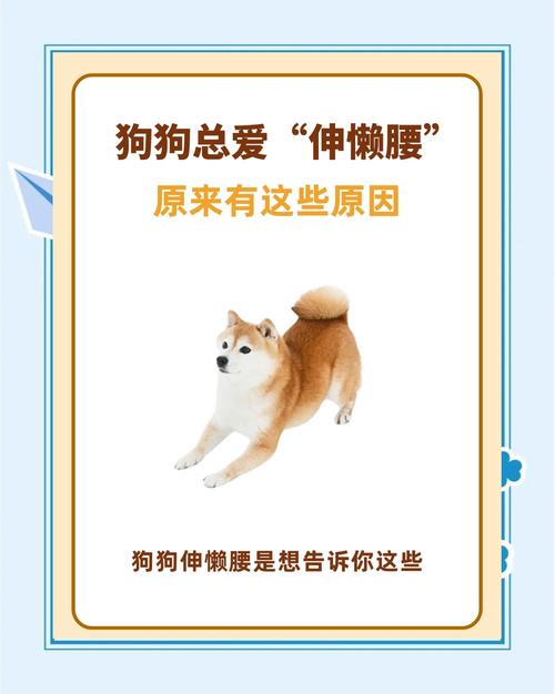 狗狗伸懒腰是什么意思,狗狗伸懒腰正常吗?-第4张图片-后鲨宠物 狗狗伸懒腰是什么意思,狗狗伸懒腰正常吗?-第4张图片-后鲨宠物