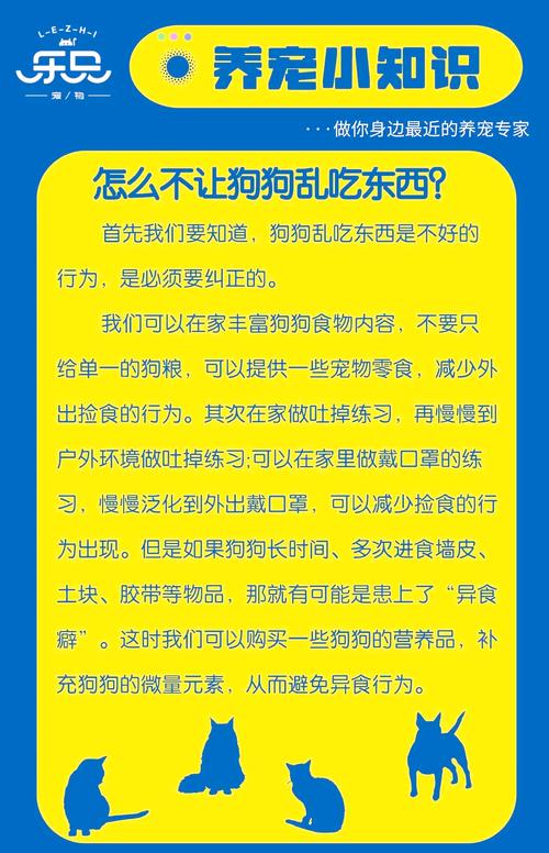 狗狗乱吃东西怎么办,狗狗乱吃东西用什么方法去解决?-第1张图片-后鲨宠物 狗狗乱吃东西怎么办,狗狗乱吃东西用什么方法去解决?-第1张图片-后鲨宠物