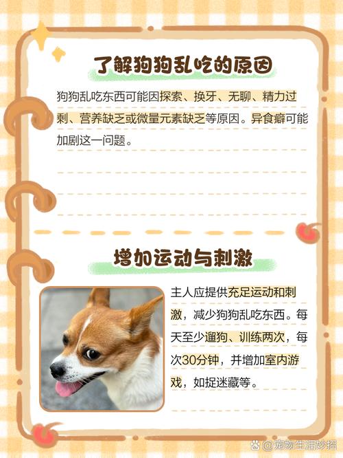 狗狗乱吃东西怎么办,狗狗乱吃东西用什么方法去解决?-第2张图片-后鲨宠物 狗狗乱吃东西怎么办,狗狗乱吃东西用什么方法去解决?-第2张图片-后鲨宠物