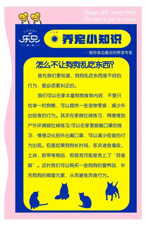狗狗乱吃东西怎么办,狗狗乱吃东西用什么方法去解决?-第3张图片-后鲨宠物 狗狗乱吃东西怎么办,狗狗乱吃东西用什么方法去解决?-第3张图片-后鲨宠物