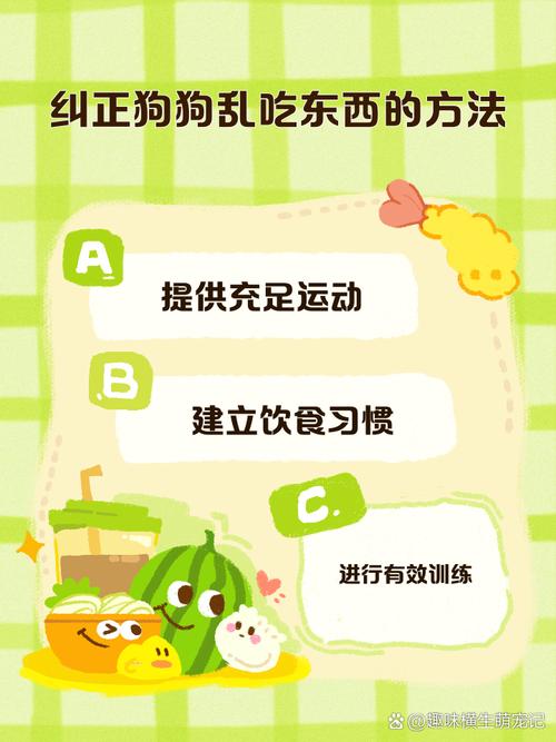 狗狗乱吃东西怎么办,狗狗乱吃东西用什么方法去解决?-第5张图片-后鲨宠物 狗狗乱吃东西怎么办,狗狗乱吃东西用什么方法去解决?-第5张图片-后鲨宠物