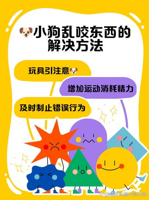 狗狗乱咬东西怎么办,狗狗乱咬东西正常吗-第6张图片-后鲨宠物 狗狗乱咬东西怎么办,狗狗乱咬东西正常吗-第6张图片-后鲨宠物