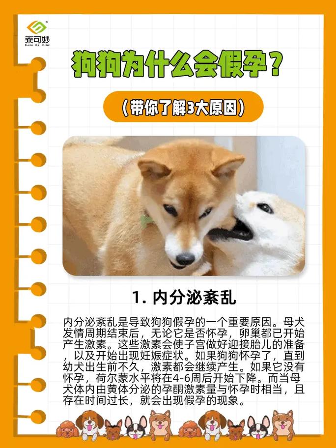 狗狗容易怀孕吗_狗狗是否很容易怀孕-第3张图片-后鲨宠物 狗狗容易怀孕吗_狗狗是否很容易怀孕-第3张图片-后鲨宠物