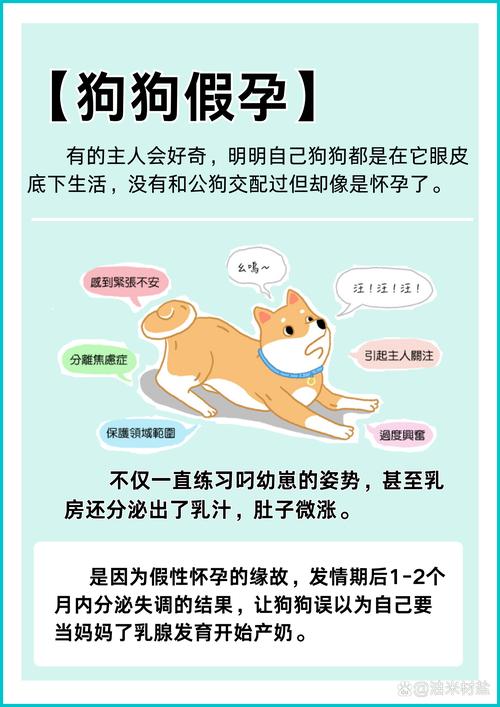 狗狗容易怀孕吗_狗狗是否很容易怀孕-第6张图片-后鲨宠物 狗狗容易怀孕吗_狗狗是否很容易怀孕-第6张图片-后鲨宠物