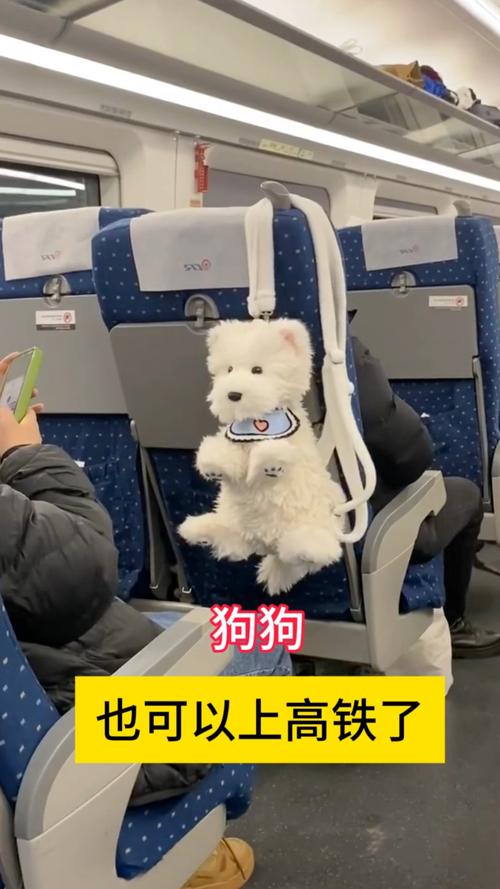  怎么带狗狗坐高铁，怎么带狗狗坐高铁出行