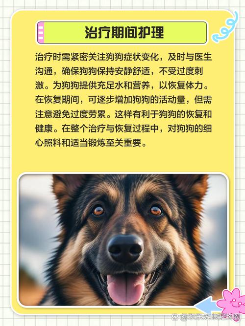 狗狗得脑炎能治好吗,狗狗得了脑炎-第3张图片-后鲨宠物 狗狗得脑炎能治好吗,狗狗得了脑炎-第3张图片-后鲨宠物