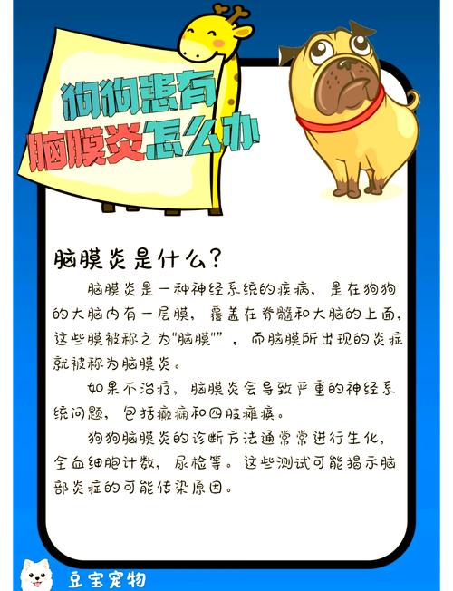 狗狗得脑炎能治好吗,狗狗得了脑炎-第5张图片-后鲨宠物 狗狗得脑炎能治好吗,狗狗得了脑炎-第5张图片-后鲨宠物