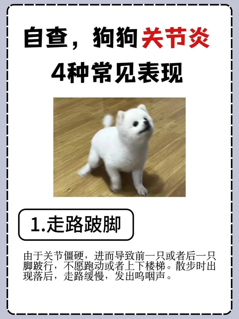 狗狗关节炎症状,狗狗关节炎的症状有哪些表现?-第3张图片-后鲨宠物 狗狗关节炎症状,狗狗关节炎的症状有哪些表现?-第3张图片-后鲨宠物