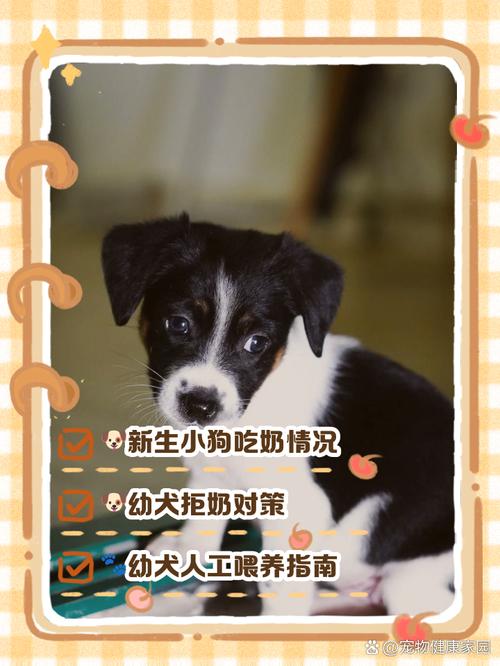 刚出生狗狗怎么养,刚出生的宠物狗怎么养?-第4张图片-后鲨宠物 刚出生狗狗怎么养,刚出生的宠物狗怎么养?-第4张图片-后鲨宠物