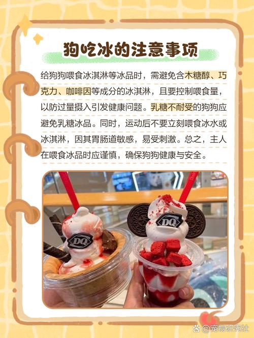 狗狗可以吃冰块吗,狗狗可以吃冰块吗为什么?-第4张图片-后鲨宠物 狗狗可以吃冰块吗,狗狗可以吃冰块吗为什么?-第4张图片-后鲨宠物