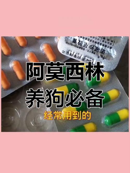狗狗得细小吃什么药,治疗狗狗细小比较好的药?-第4张图片-后鲨宠物 狗狗得细小吃什么药,治疗狗狗细小比较好的药?-第4张图片-后鲨宠物