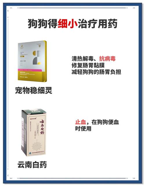 狗狗得细小吃什么药,治疗狗狗细小比较好的药?-第6张图片-后鲨宠物 狗狗得细小吃什么药,治疗狗狗细小比较好的药?-第6张图片-后鲨宠物