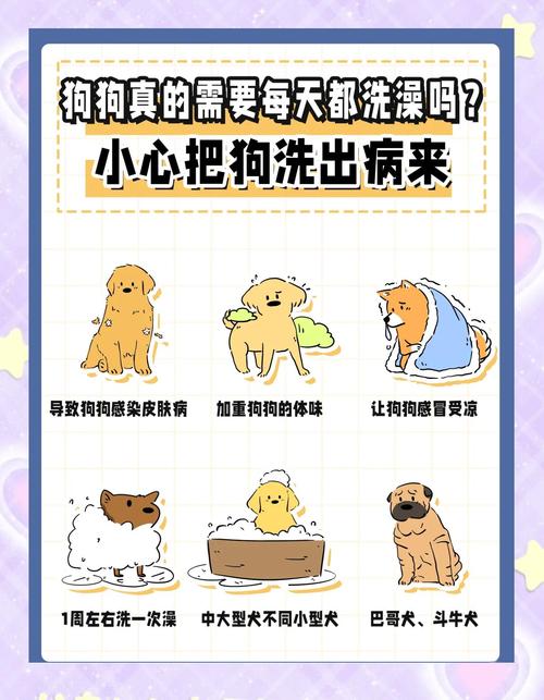 怎样帮狗狗洗澡,怎样帮狗狗洗澡呢-第1张图片-后鲨宠物 怎样帮狗狗洗澡,怎样帮狗狗洗澡呢-第1张图片-后鲨宠物