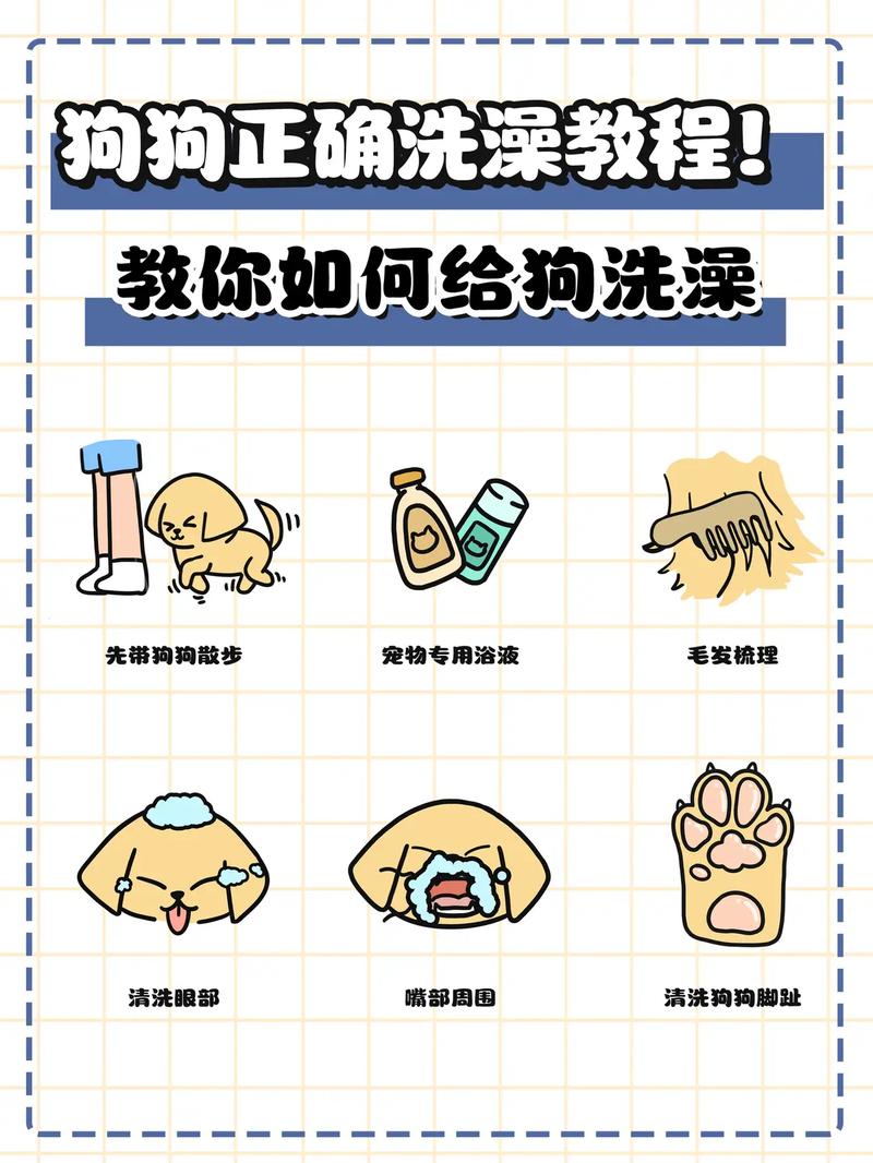 怎样帮狗狗洗澡,怎样帮狗狗洗澡呢-第6张图片-后鲨宠物 怎样帮狗狗洗澡,怎样帮狗狗洗澡呢-第6张图片-后鲨宠物