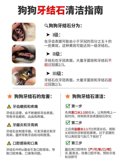 怎样去除狗狗牙结石_怎么去除狗狗牙结石-第3张图片-后鲨宠物 怎样去除狗狗牙结石_怎么去除狗狗牙结石-第3张图片-后鲨宠物